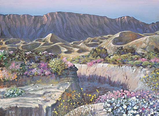 #108 ~ Vallee - De Anza Borrego Desert
