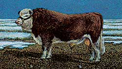 #1434 ~ Wohlfarth - Untitled - Brown and White Bull
