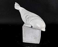 #2068 ~ Noah - Untitled - Beluga Whale