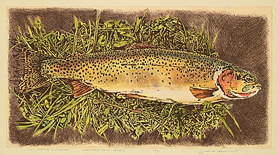 #2162 ~ Cowin - High Country Cutthroat [Western Trout Series]  #14/15