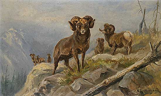 #2180 ~ Drummond-Davies - Untitled - Bighorn Sheep in the Mountains