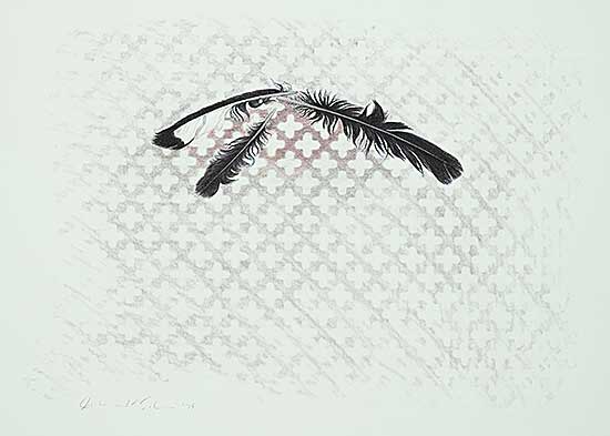 #2185 ~ Esler - Untitled - Feathers