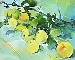 #2321 ~ Potts - Small Westport Apples