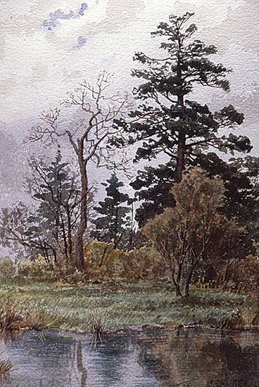 #129 ~ Martin - Beacon Hill Park, Victoria, B.C.