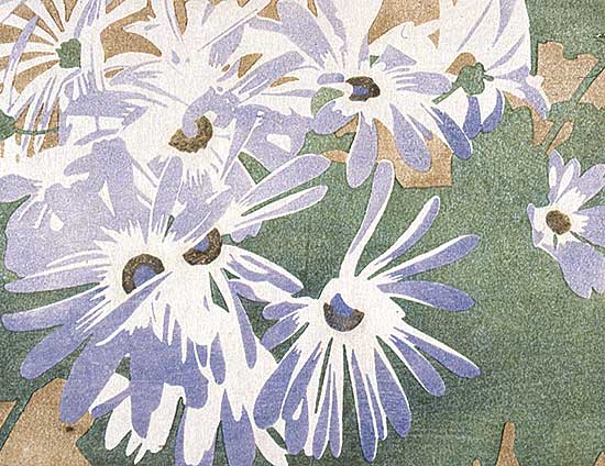 #236 ~ Phillips - Cineraria  #12