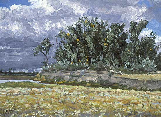 #272 ~ Kaufman - Trees by River