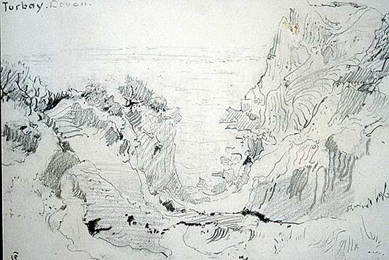 #317 ~ Collings - Torbay - Devon