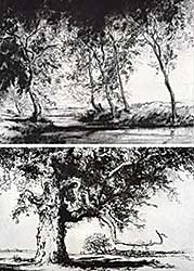 #292 ~ Robins - Lot of two etchings