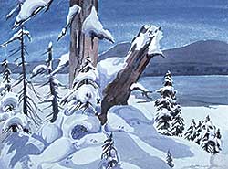 #312 ~ MacDonald - Untitled - Rabbit Tracks in the Snow