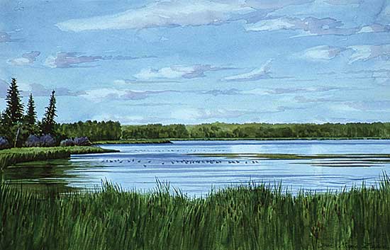 #31 ~ Zupan - South Shore of Tawayik Lake
