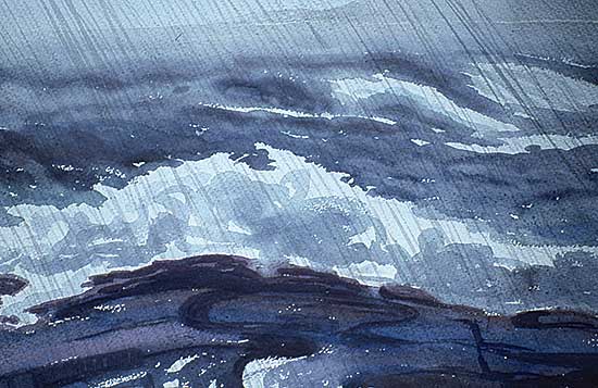 #39 ~ MacDonald - Rain & Wind, Active Pass, B.C.