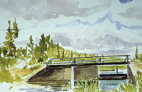 #209 ~ Hurley - Waskesiu