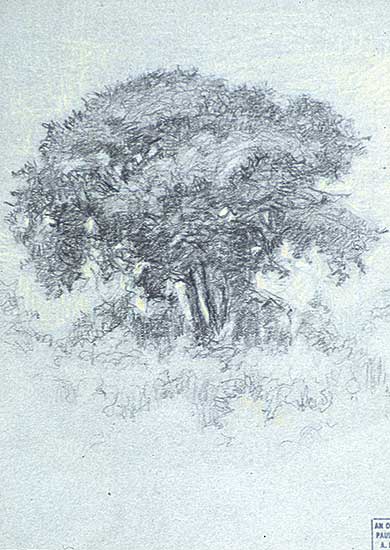 #239 ~ Caron - Untitled - Pastoral Sketch