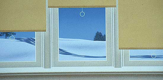 #306 ~ Mennie - 3 Blind Shadow  #10/110