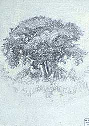 #239 ~ Caron - Untitled - Pastoral Sketch