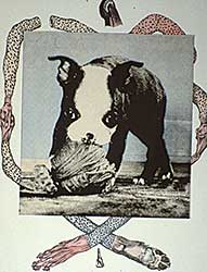 #281 ~ Cowin - Yukon King [Dog of the North] Canadian Anatomy  #10/12