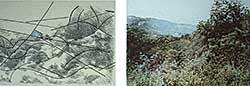 #324 ~ Baillies - Tuscan Landscape - Two View Points, One Focal Point  #2/8