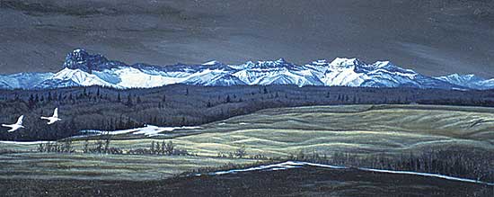 #49 ~ Fisher - Devils Peak and Swans