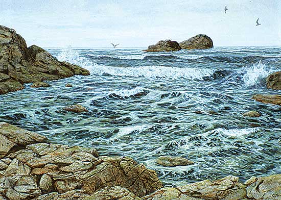 #131 ~ Menu - Breaking Surf