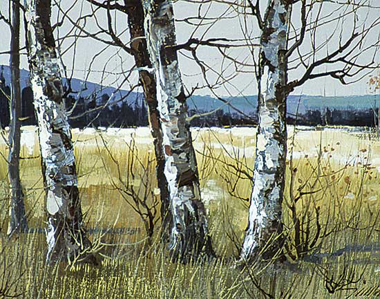 #191 ~ Chan - Untitled - Popular Forest