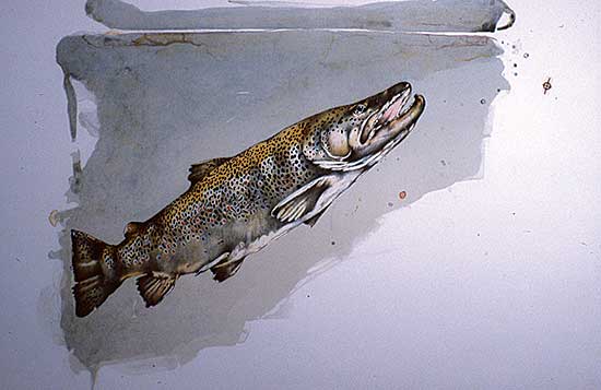 #35 ~ Cowin - Colour Trout Series  #Printers Proof