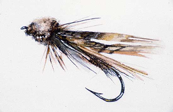 #37 ~ Cowin - Untitled - Muddler Minnow