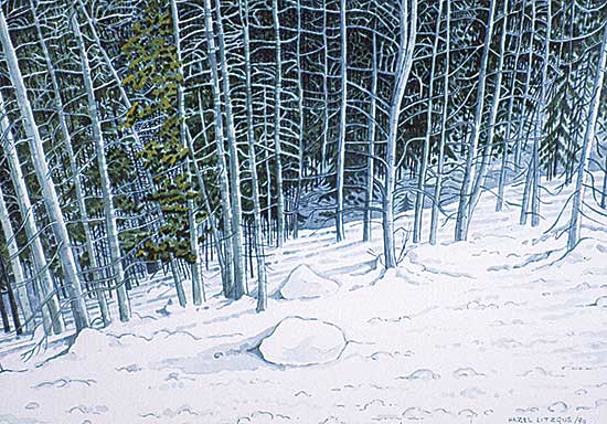 #104 ~ Litzgus - Kananaskis Valley