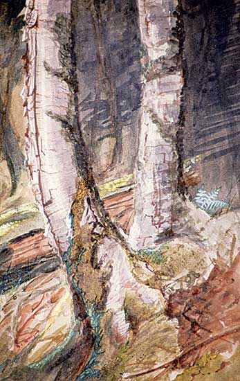 #109 ~ Martin - Untitled - Forest Pastoral