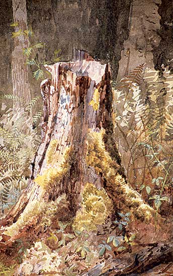 #110 ~ Martin - Untitled - Forest Pastoral