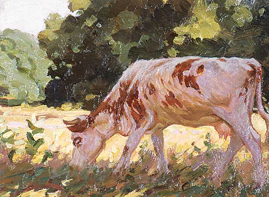 #135 ~ Palmer - Sunshine and Shadow