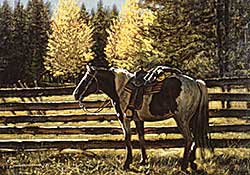 #176 ~ Schnurrenberger - High Country Corral