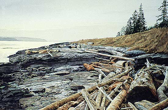 #36 ~ Camping - Ruckle Park, Salt Spring Island