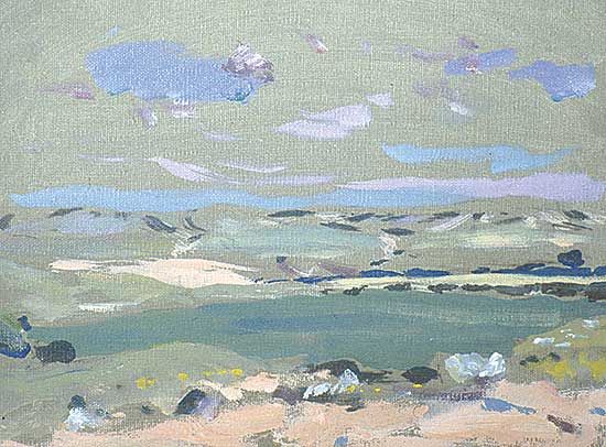#47 ~ Christopher - Oat Field, North of Medicine Hat