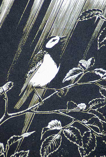 #86 ~ Hahn - Untitled - The Robin
