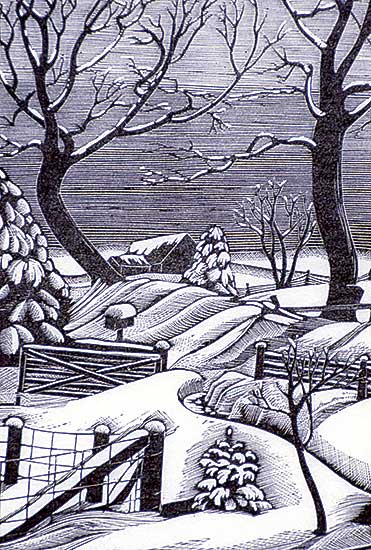 #235 ~ Oille - Untitled - We Welcome Winter