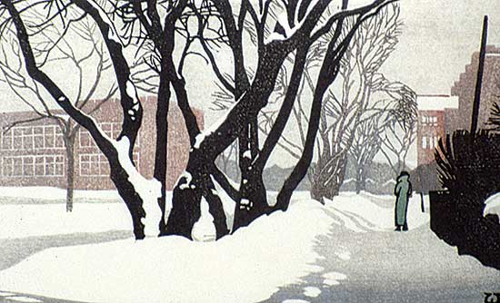 #247 ~ Phillips - Our Street