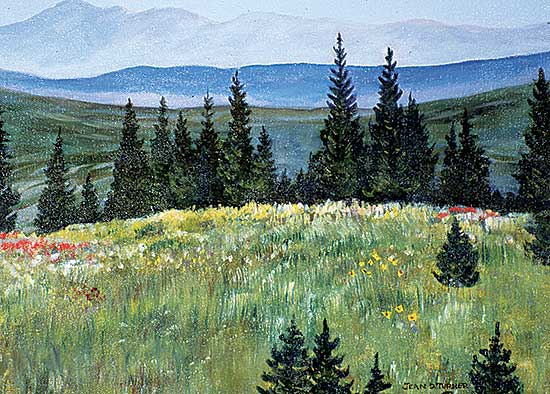 #317 ~ Turner - Stony Indian Reserve