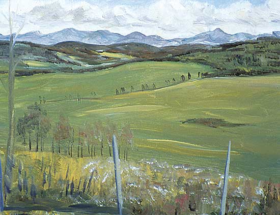 #319 ~ Turner - West of Calgary