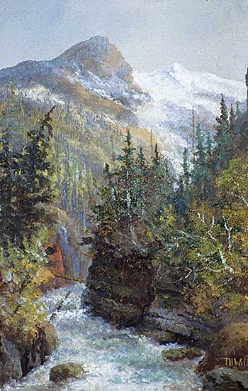 #328 ~ Wilkinson - The Gorge Near Field, B.C.