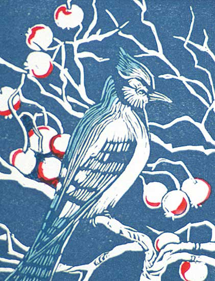 #332 ~ Wrinch - Wychwood Blue Jay