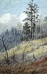 #201 ~ Martin - Untitled - Landscape with Pines