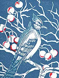 #332 ~ Wrinch - Wychwood Blue Jay