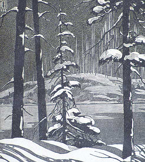 #21 ~ Bergman - Northern Night