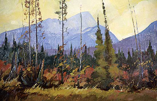 #44 ~ Byrne - Untitled - Mountain Forest