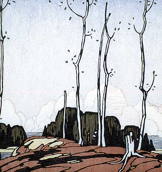 #50 ~ Casson - Sparrow Lake  #A.P. 8/30