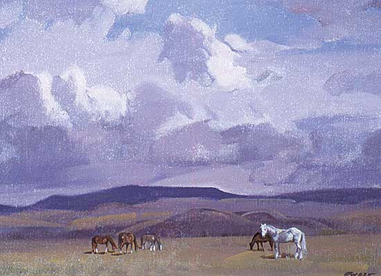 #73 ~ Ewart - Open Range [Near Walhachin B.C.]