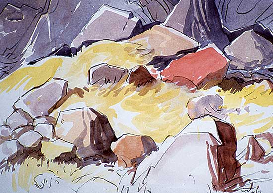 #91 ~ Glyde - Near Banff, Alberta