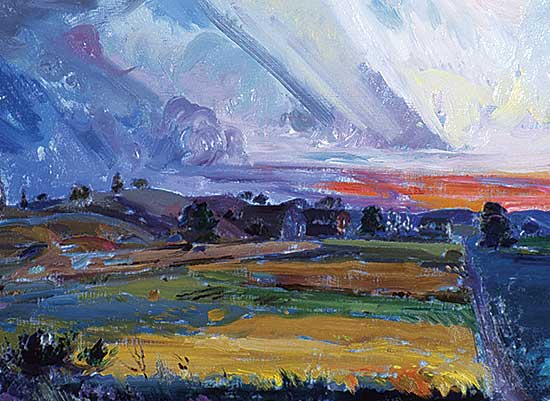#134 ~ Janzen - Sunset Fields July 26, '93