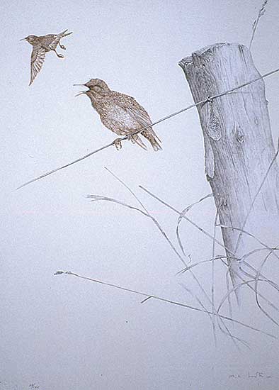 #208 ~ Loates - Starling  #38/125