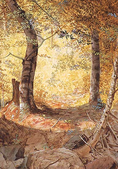 #219 ~ Martin - Untitled - Forest Clearing in Autumn